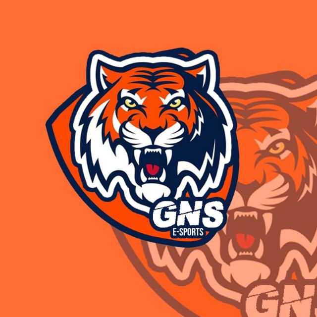 『ᮝπᏚ』E-sport 